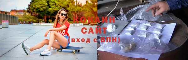 гидра Кущёвская