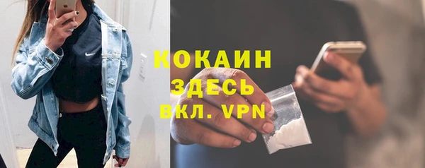 трава Карпинск
