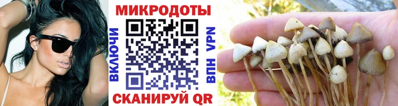 Псилоцибиновые грибы Psilocybe  OMG ссылка  Тара  наркота 